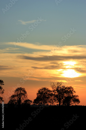 Photo: sunset silhouette sunset silhouette
