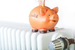 ENERGIE-SPARSCHWEIN