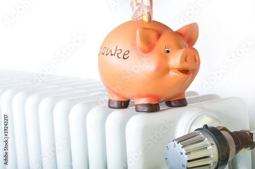 Photo: ENERGIE-SPARSCHWEIN ENERGIE-SPARSCHWEIN