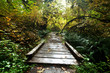 Boardwalk