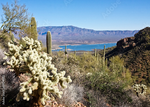 Photo: Cacti and Lake Roosevelt Cacti and Lake Roosevelt
