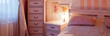 bedroom, interior, furniture