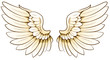 pair of wings