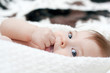 baby portrait