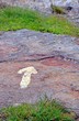 flèche peinte sur un rocher