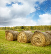 Photo: Bales of Hay Bales of Hay