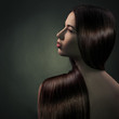 Photo: Beautiful Brunette Girl. Healthy Long Hair Beautiful Brunette Girl. Healthy Long Hair