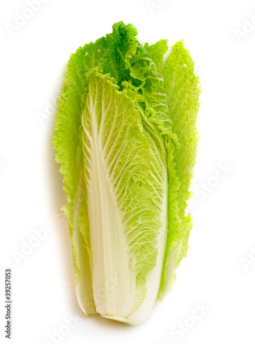 Foto: cabbage isolated on white cabbage isolated on white