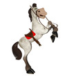 horse cartoon upright