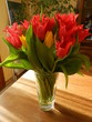 tulipes
