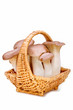 Foto: King trumpet. Fresh mushrooms in a basket. King trumpet. Fresh mushrooms in a basket.
