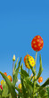 Frohe Ostern, Ostermotiv, Osterplakat, Banner, Osteraktion