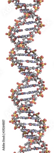 Illustration: DNA structure DNA structure