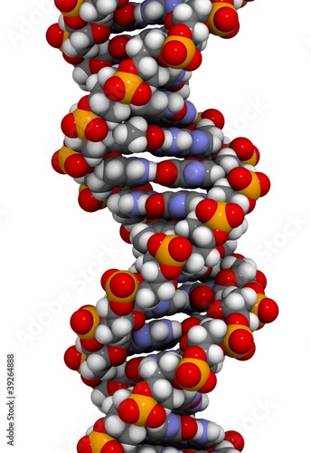Illustration: DNA structure DNA structure