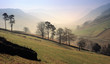 martindale