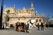 horse carriage in front of Seville Cathedral