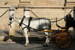horse drawn carriage in Seville