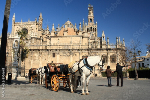 Photo: horse carriage in front of Seville Cathedral horse carriage in front of Seville Cathedral