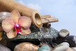 Spa et Thalasso Spa et Thalasso