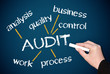AUDIT - Business Concept