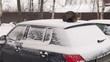 Video: The cat on the roof of the car The cat on the roof of the car