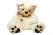 Teddy bear in glasses isolated
