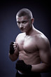 portrait of a young boxer