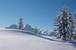 Winterlandschaft in den Bergen