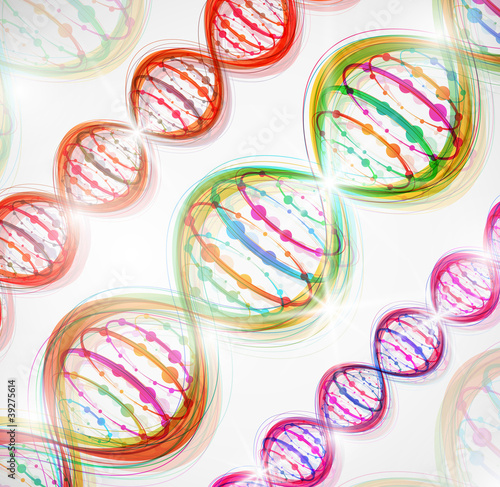 Vector: DNA molecule DNA molecule