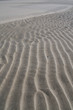 Foto: Rippled sand texture Rippled sand texture