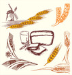 Vector: Wheat element Wheat element