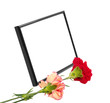 two carnations and black framing two carnations and black framing