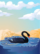 Vektor: black swan on the lake black swan on the lake