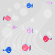 tropical fish swim