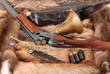 Hunting things