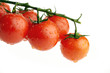 cherry tomatos in water cherry tomatos in water