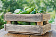 cucumbers