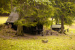 Waldhütte