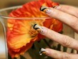 Foto: Nailart, Vase;Mohn Nailart, Vase;Mohn