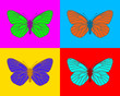 Schmetterlinge