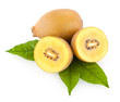 "golden" kiwi with leaves