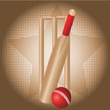 cricket set