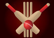 cricket set