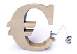 Euro