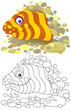 marine moray eel looking out of a burrow