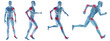 High resolution conceptual man anatomy High resolution conceptual man anatomy