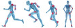 High resolution conceptual man anatomy High resolution conceptual man anatomy