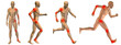 High resolution conceptual man anatomy