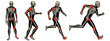 High resolution conceptual man anatomy High resolution conceptual man anatomy