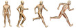 High resolution conceptual man anatomy High resolution conceptual man anatomy